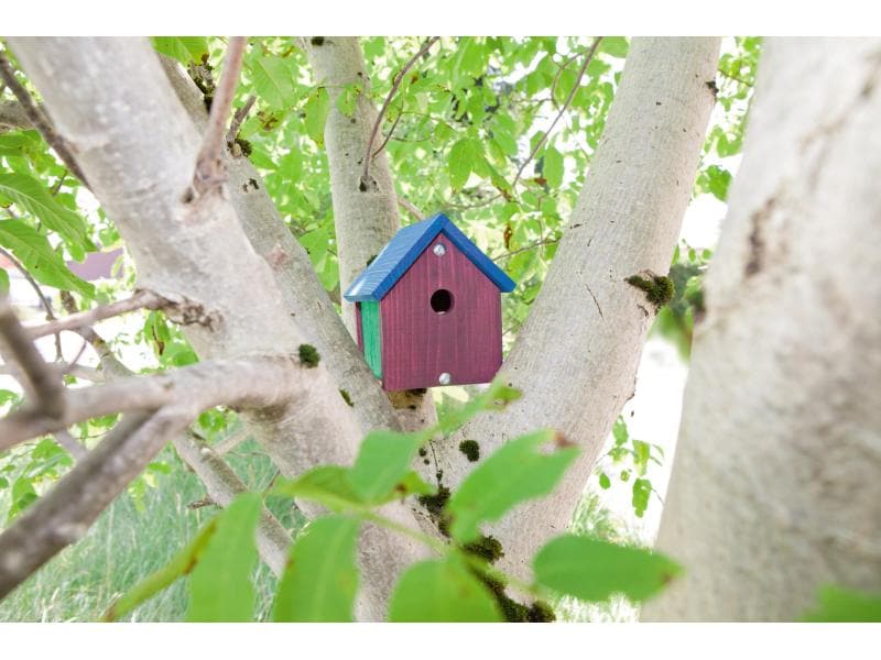 Windhager Nistkasten Bausatz for Kids Nistkasten zum einfachen Selberbauen und Gestalten