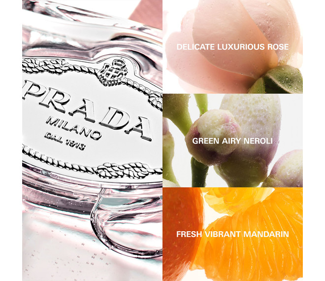 Prada Infusion de Rose Eau de Parfum