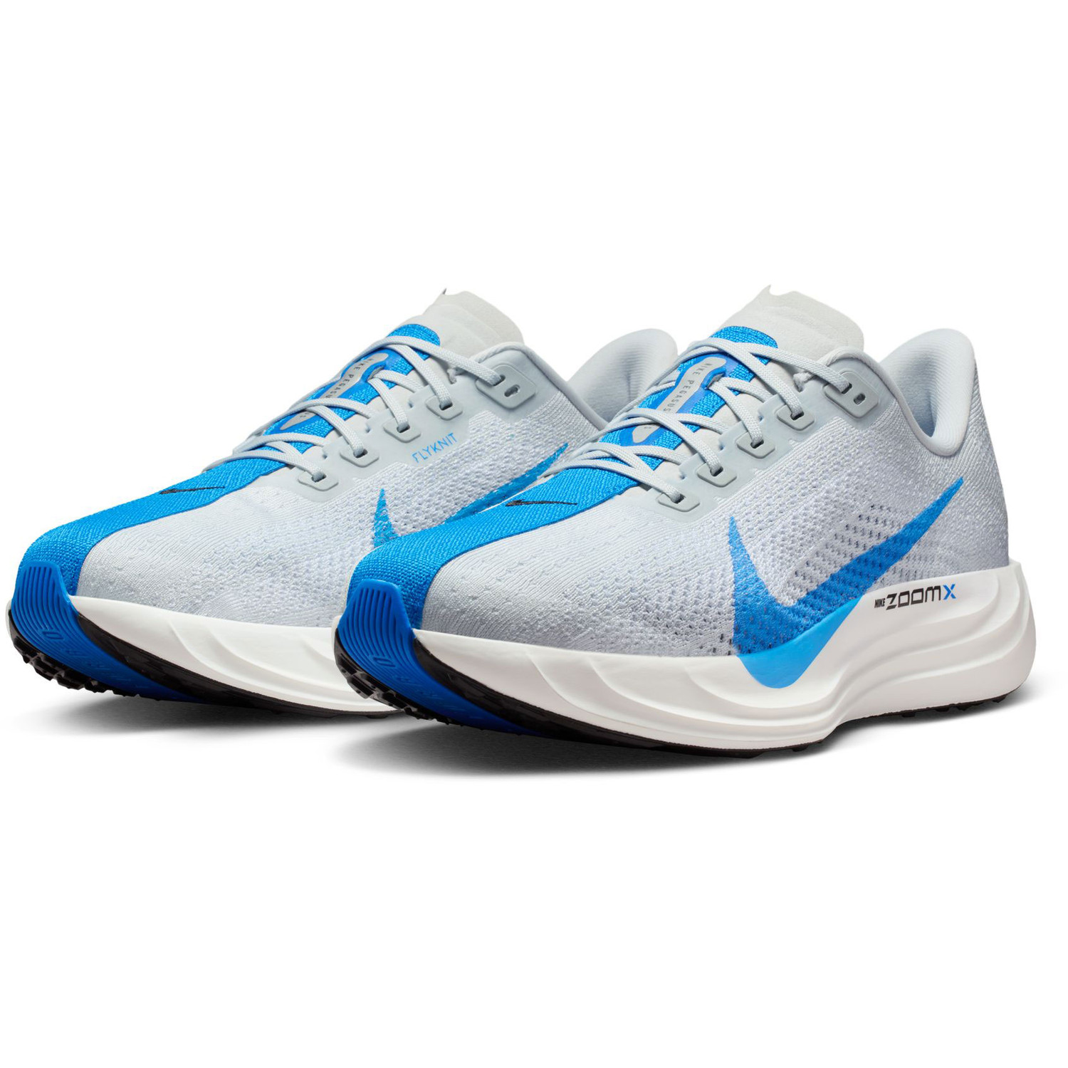 Nike Pegasus Plus Heren