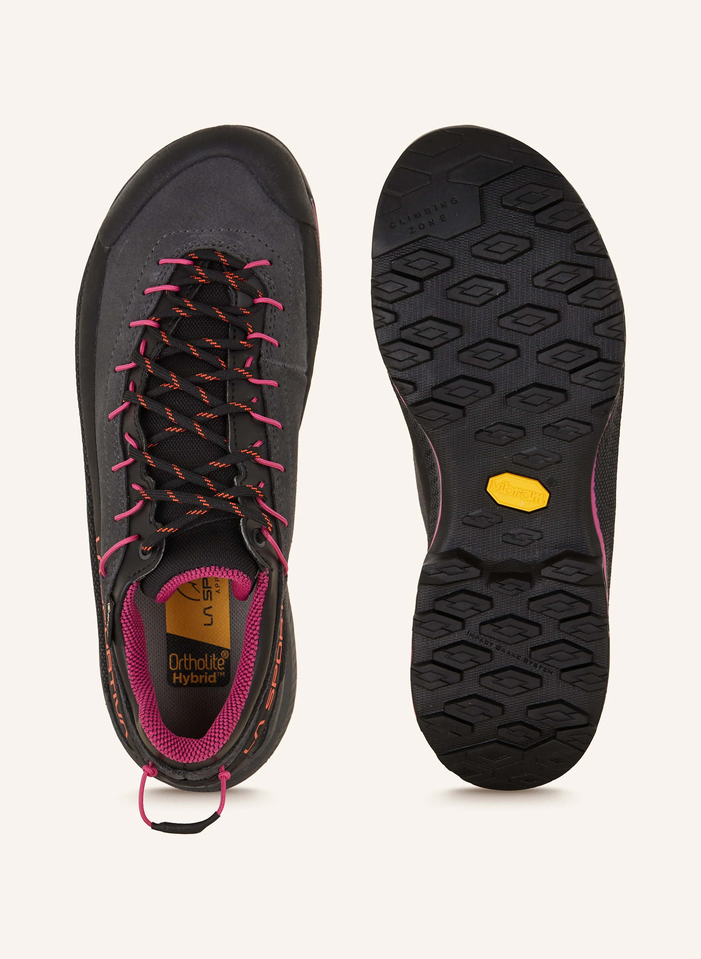 LA SPORTIVA Wanderschuhe TX4 EVO GTX