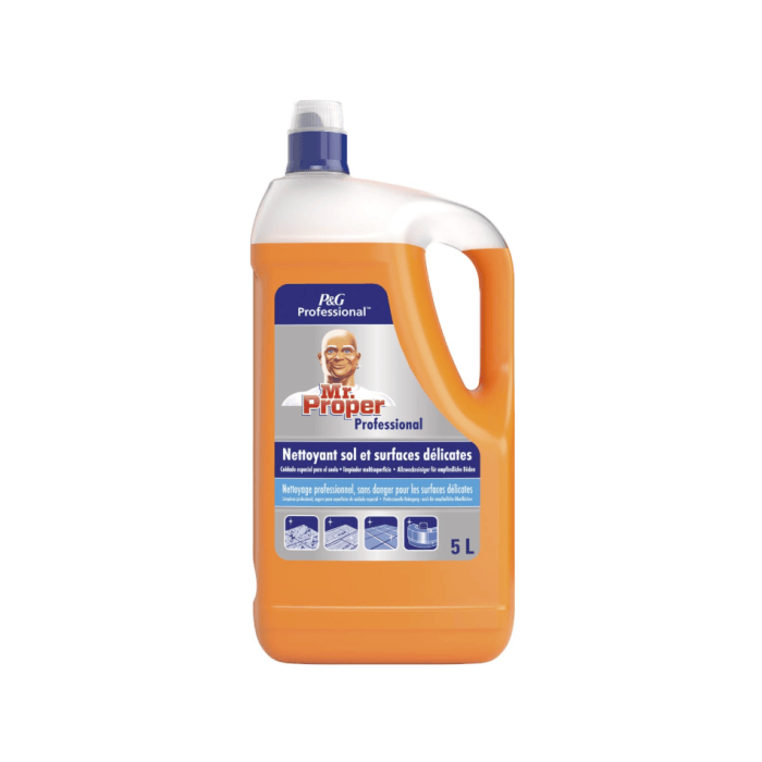 Mr. Proper Professional Special Care Allesreiniger (5 L) 8001090471086
