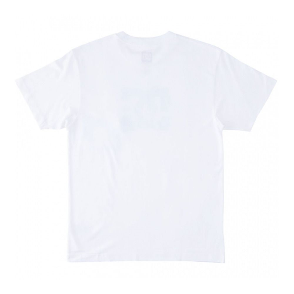 DC Shoes CRUSHED GLASS - Tee-shirt Homme white