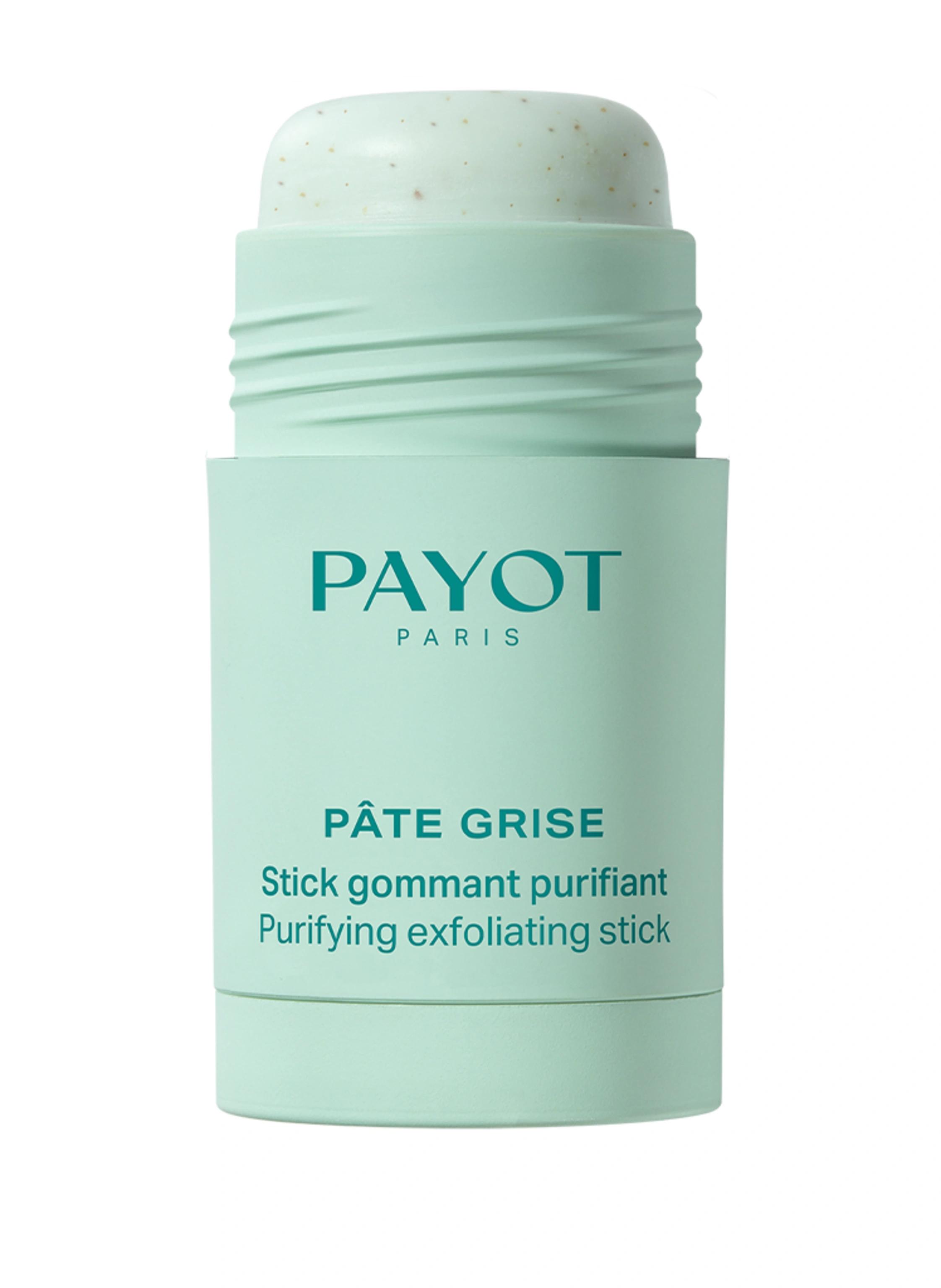 PAYOT PÂTE GRISE