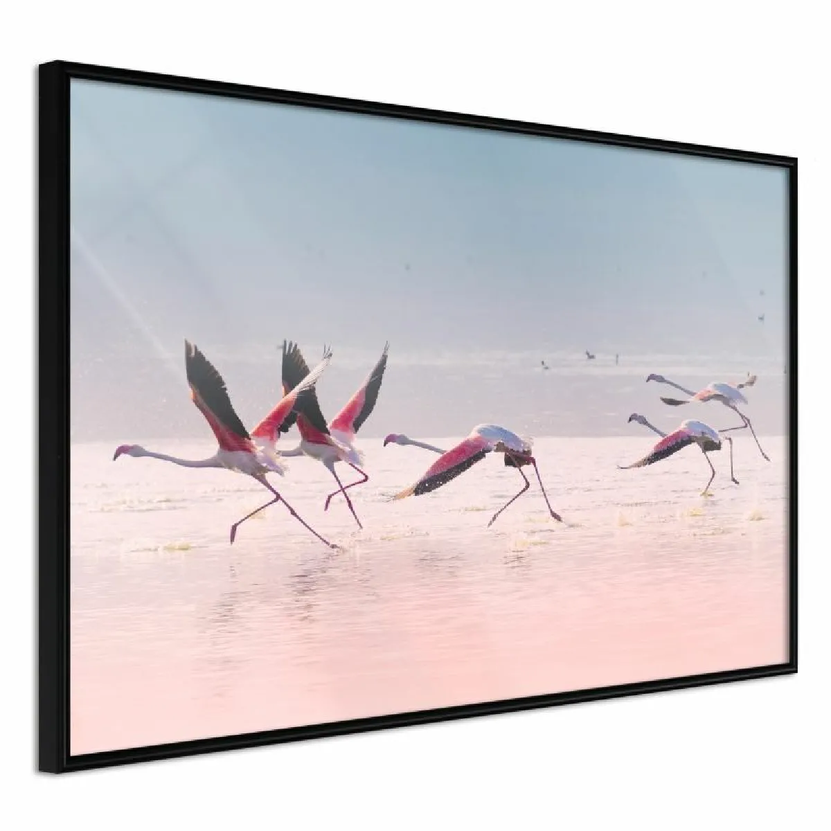 Paris Prix Affiche Encadrée Flamingos Breaking into Flight 30x20 cm