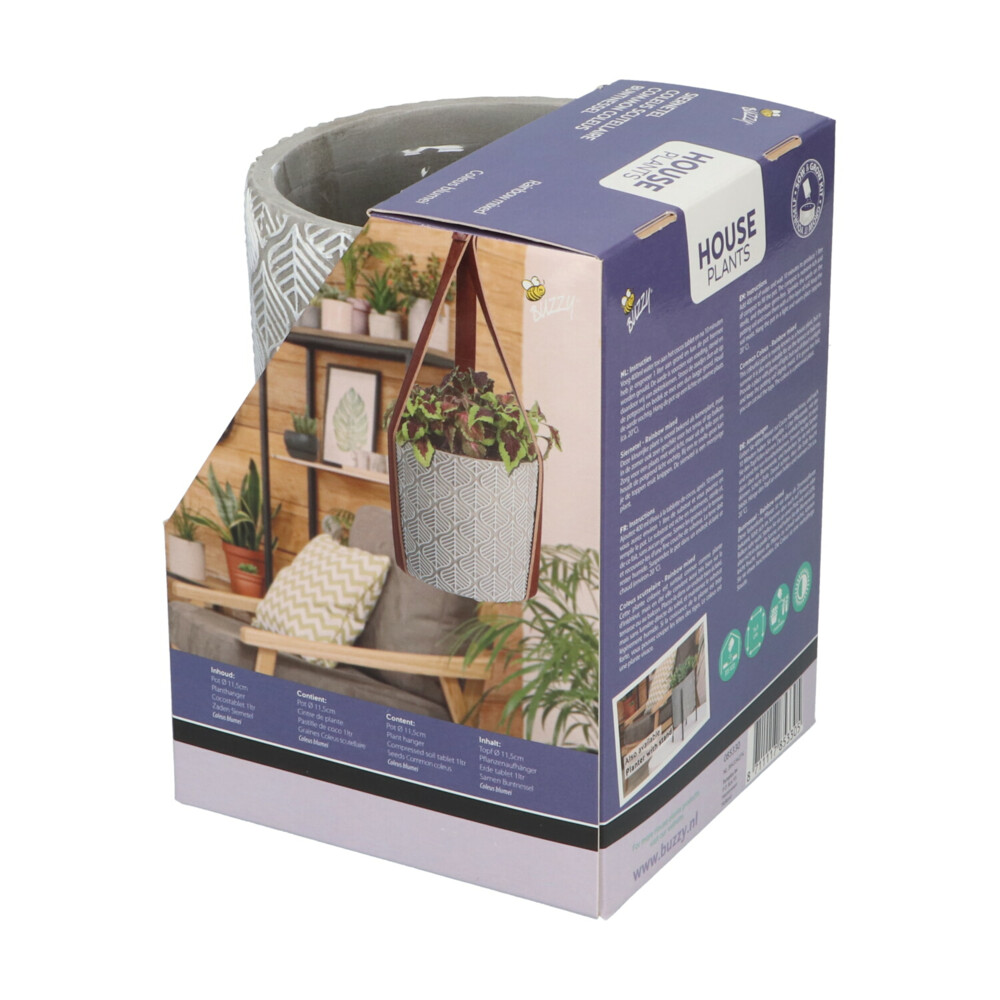 Buzzy House Plants Hangende Plantpot met Coleus zaden