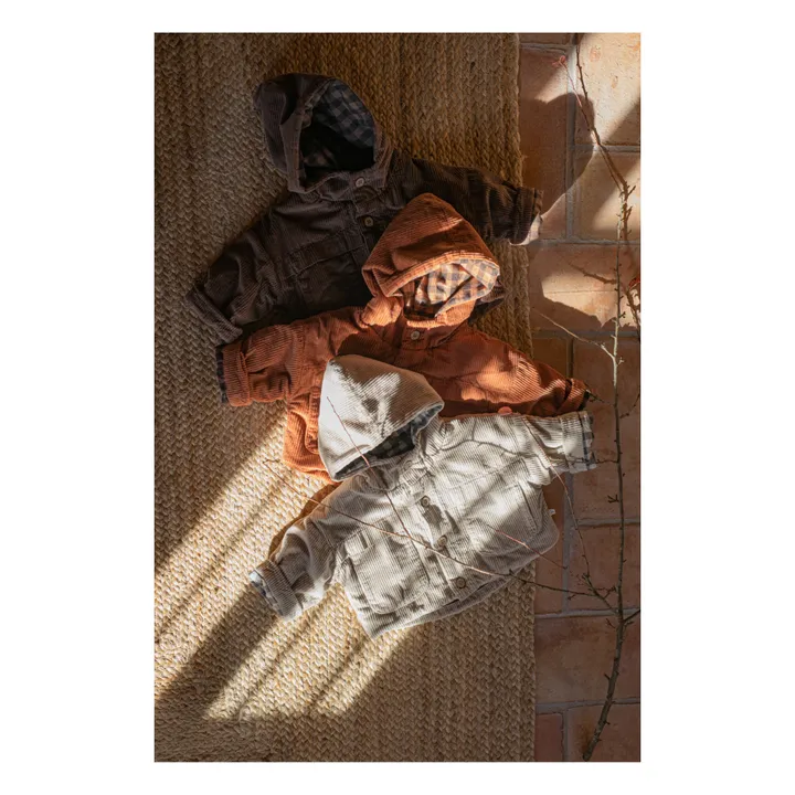 1+ in the family Veste Capuche Velours Côtelé Kurt | Terracotta