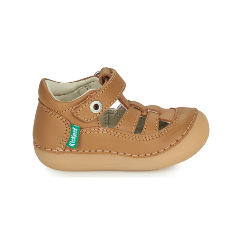 Kickers - SUSHY - Camel