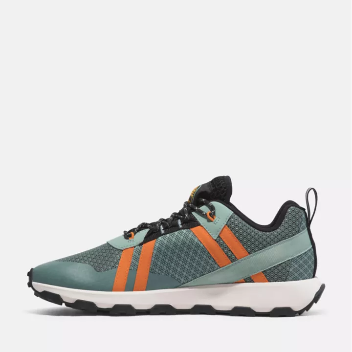 Basket basse à lacets Winsor Trail pour homme en vert clair