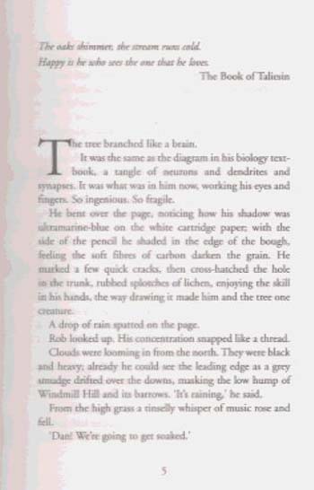 Darkhenge (Hardback)