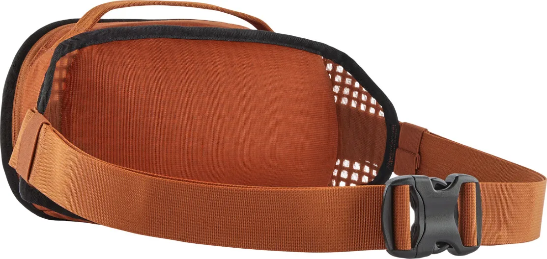Patagonia Fieldsmith Hip Pack 5L Robin Brown