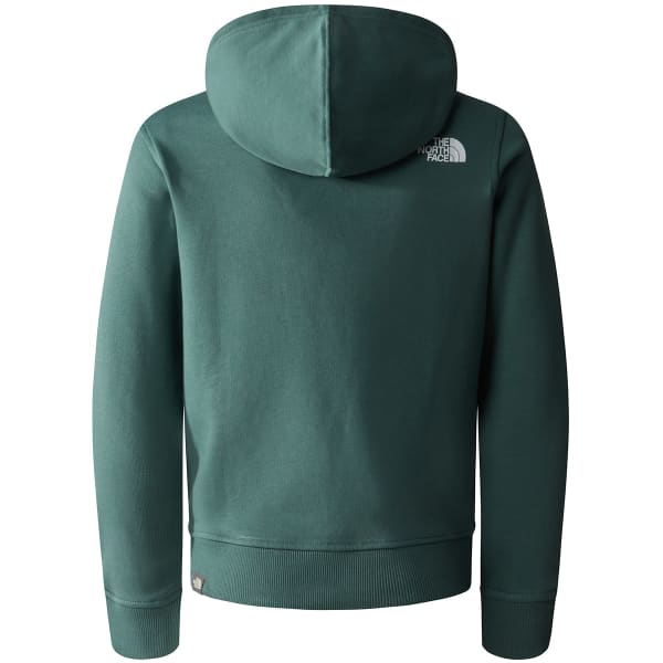 Sweatshirt THE NORTH FACE TEENS BOX P/O HOODIE DARK SAGE/ASPHALT GREY/RAIN CAMO PRINT