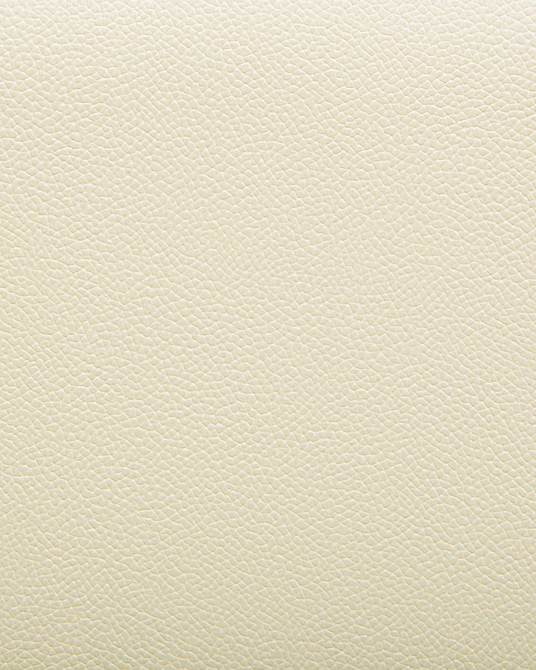 Fauteuil HELSINKI Leer Lichtbeige