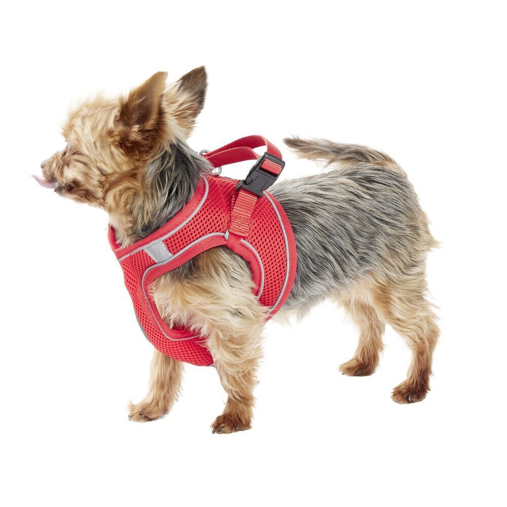 Harnais pour chien avec laisse rouge Taille M