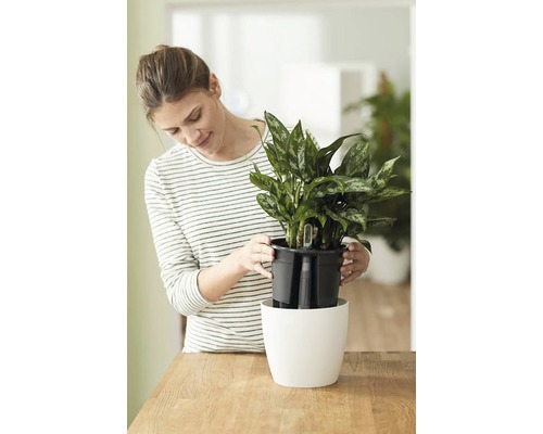 Elho zelfbewateringssysteem Ø 33 cm zwart