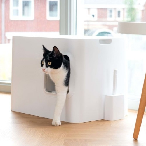 Caixa de areia branca para gatos