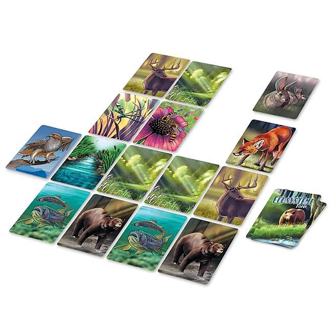 ECOSYSTEME FORET