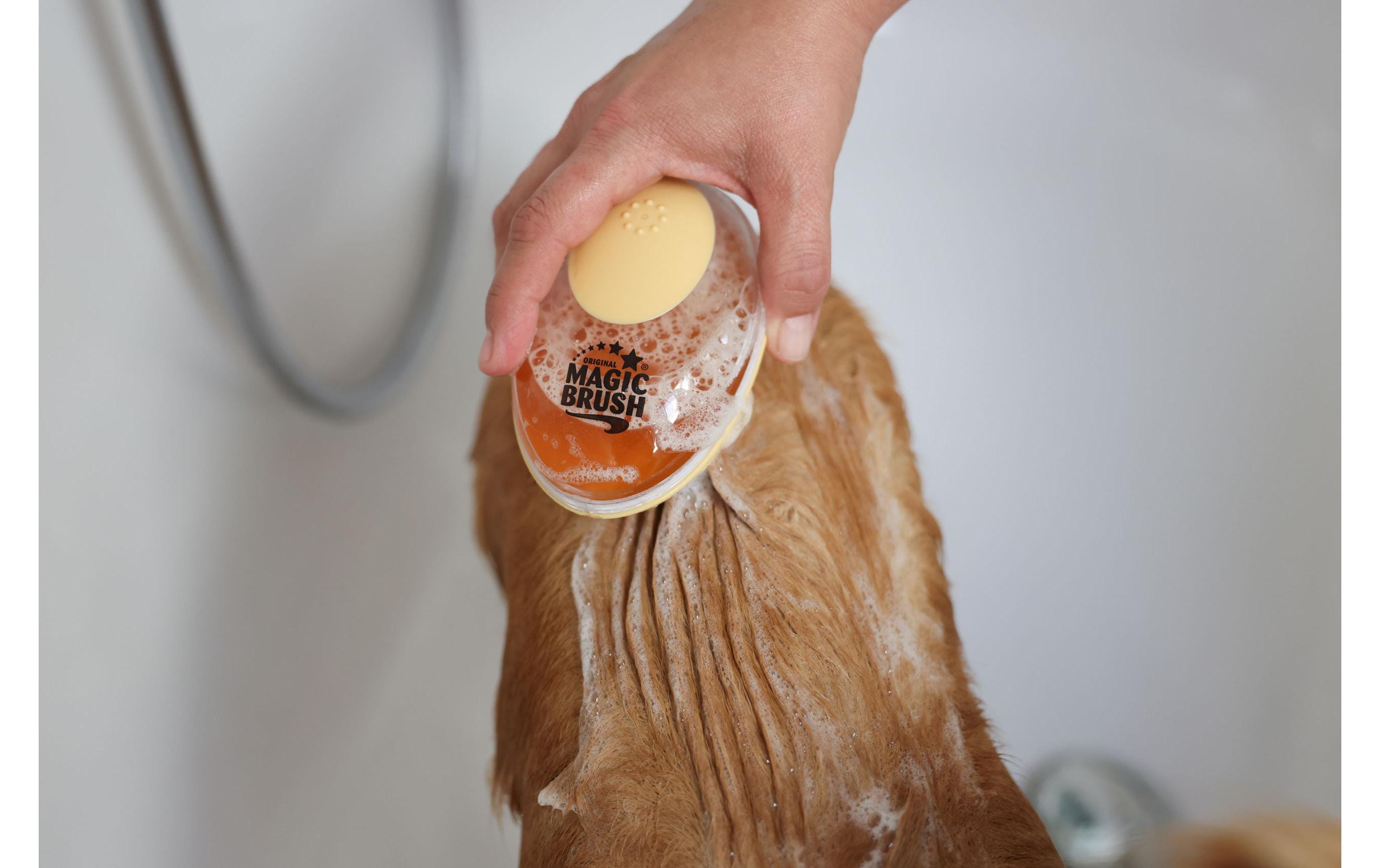MagicBrush Badebürste 11.5 cm x 7.5 cm x 6 cmPflegebürste für Haustiere