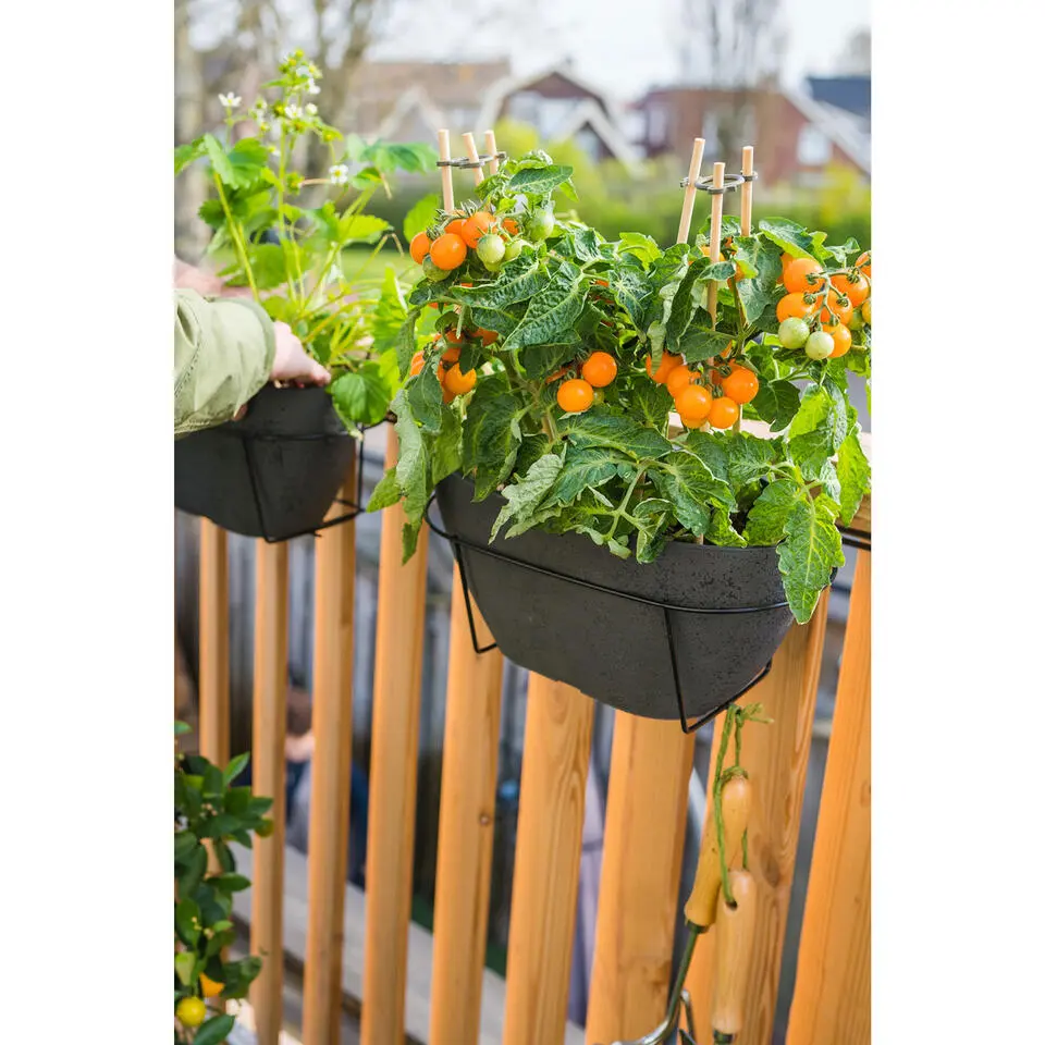 Ter Steege Plantenbak - kunststof - donkergrijs - 55 x 16 cm