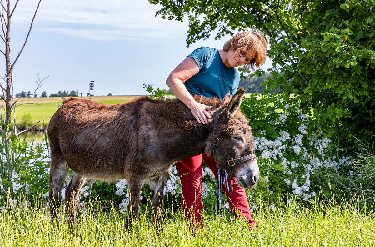 Eselwanderung Fichtenau