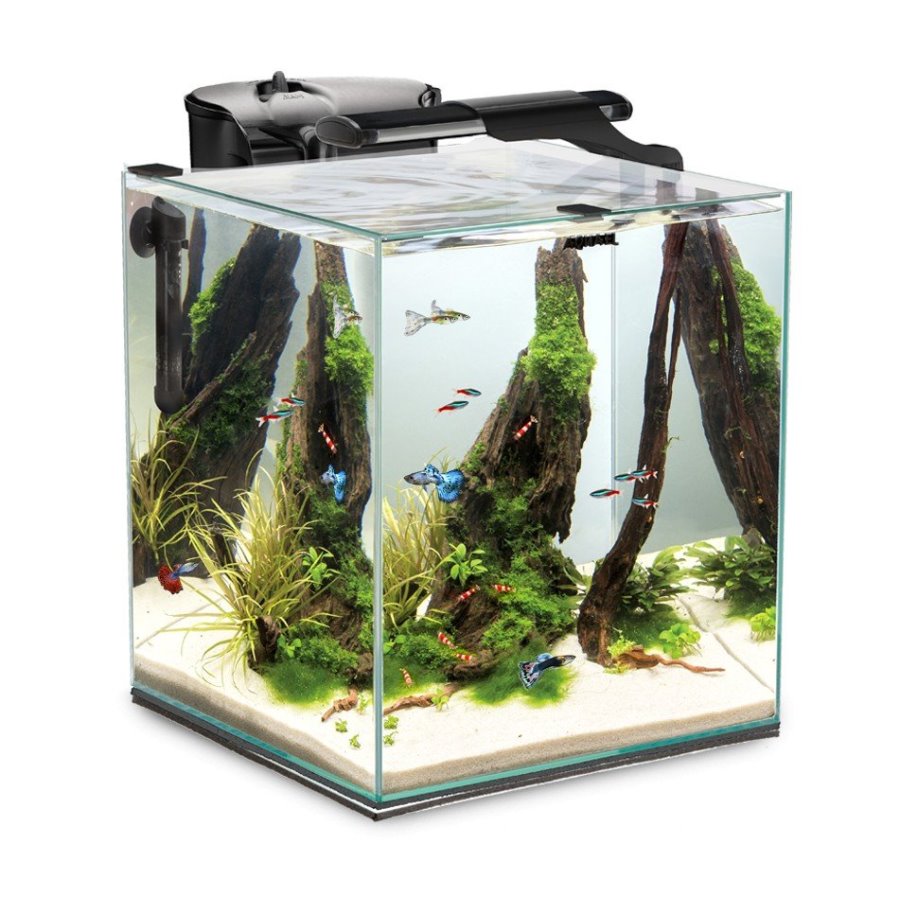 Conjunto Aquael Peixe e Camarão DUO D&N 35