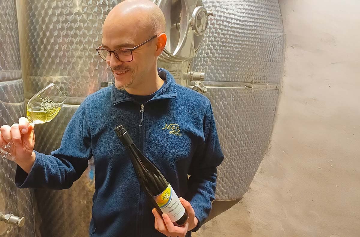 Weinseminar für Genießer Lorch