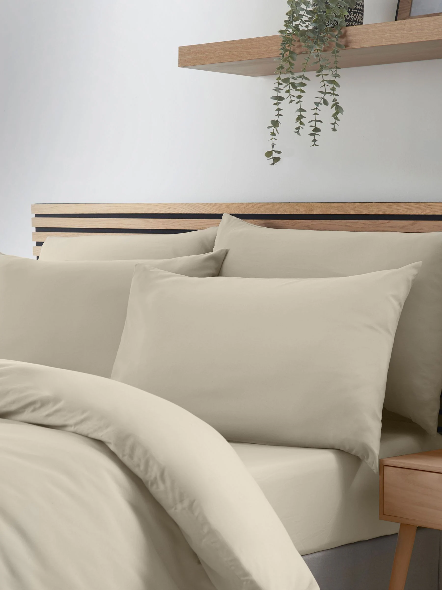 Catherine Lansfield 4 Pack So Soft Non-Iron Pillowcases