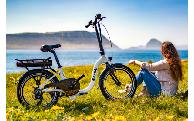 Blaupunkt Emmi faltbares E-Bike 20 Zoll 250W