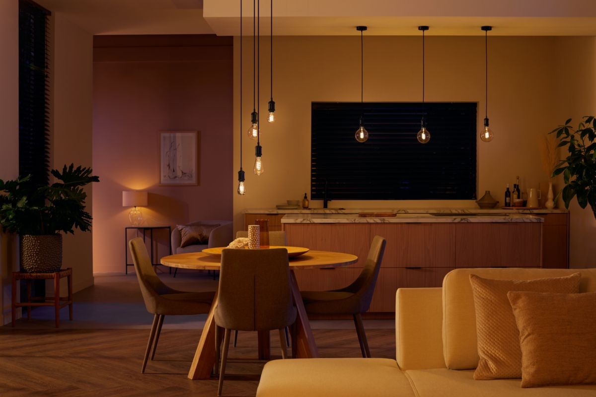 Philips Hue - E27 Filament G125 -White Ambiance