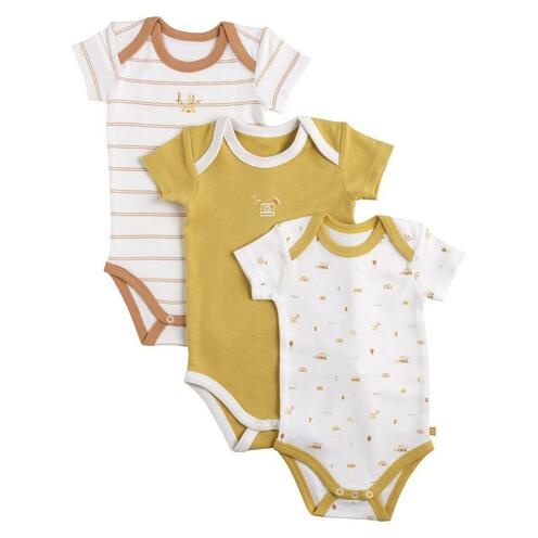 Lot de 3 bodies 6 mois manches courtes SUNLIGHT - SAUTHON Baby déco