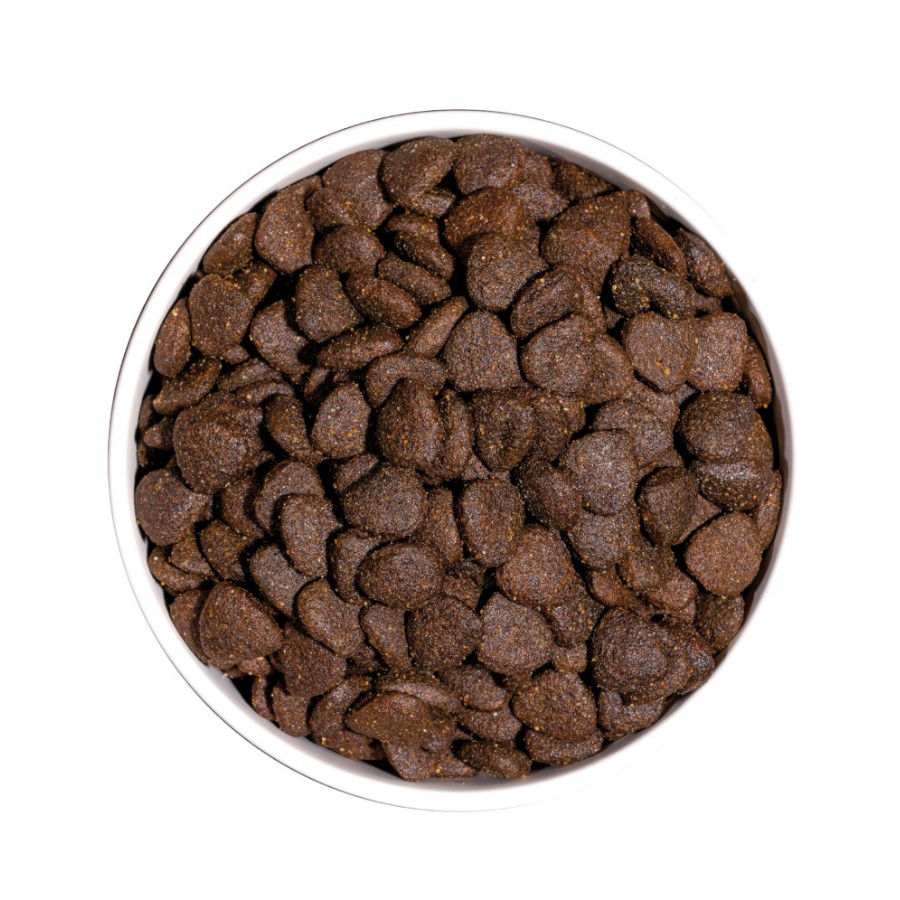 Alimento Ownat Just Grain Free para Cães Adultos com Cordeiro
