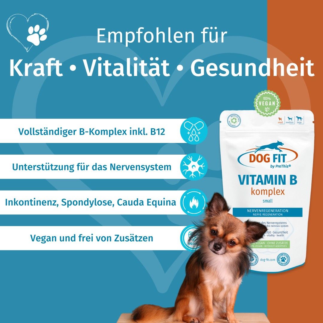 DOG FIT by PreThis® VITAMIN B für Hunde » Nerven, Inkontinenz, Bandscheibenvorfall (small)