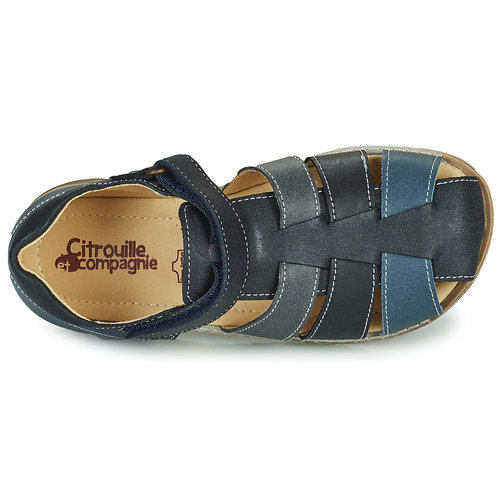 Citrouille et Compagnie - FRINOUI - Marine / Gris