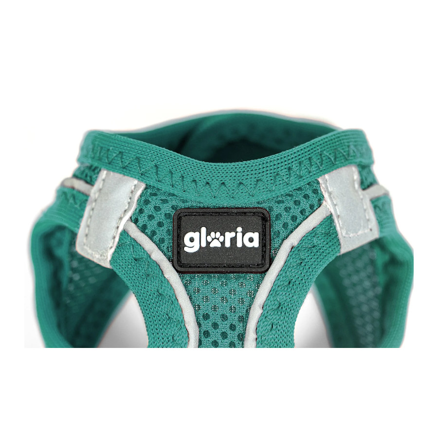 Colete/Vestido para Cães Gloria Air Mesh Trek Star Turquesa