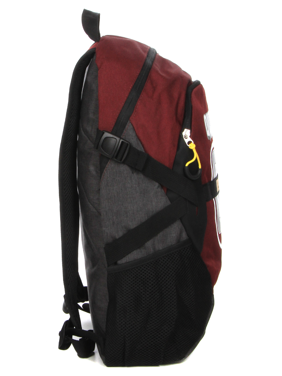 Sac À dos Harry Potter Quidditch