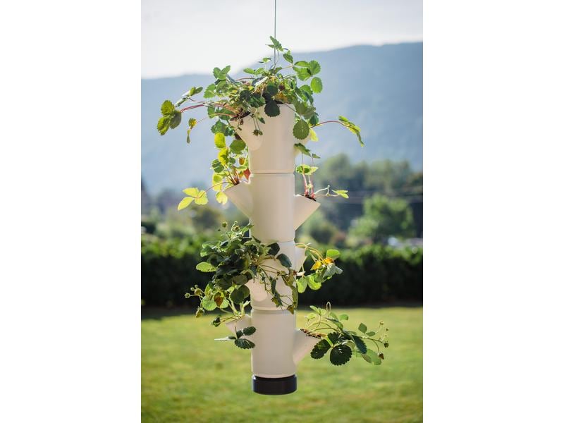 Gusta Garden Aufzuchttöpfe SISSI STRAWBERRY Hanging, Anthra Urban Gardening Erdbeerbaum
