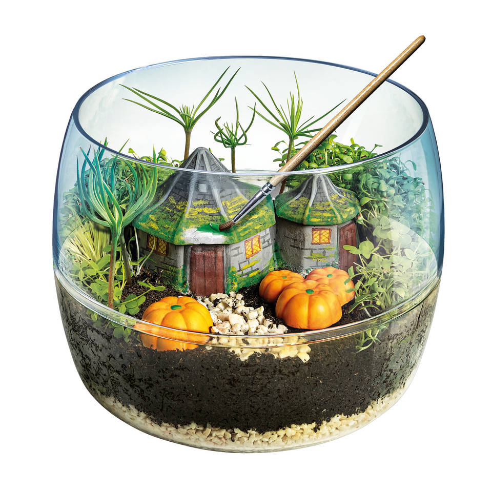 Clementoni Harry Potter terrarium