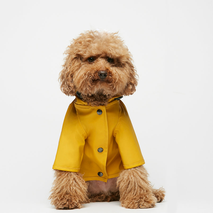 Capa de chuva Sarah