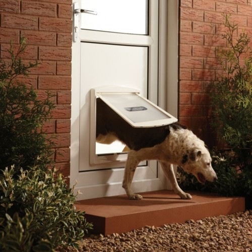 Porta para cães branca de duas vias
