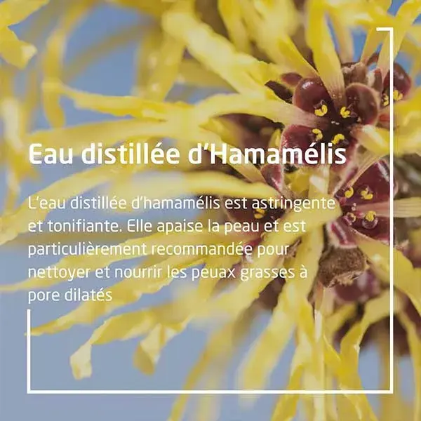 Espuma de Limpeza Suave Weleda com Hamamélis 150ml