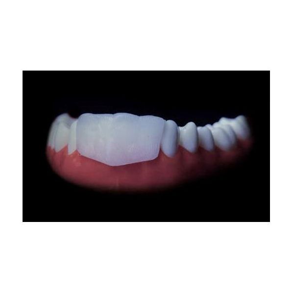 Silverstein OmniGuard Lip Protector