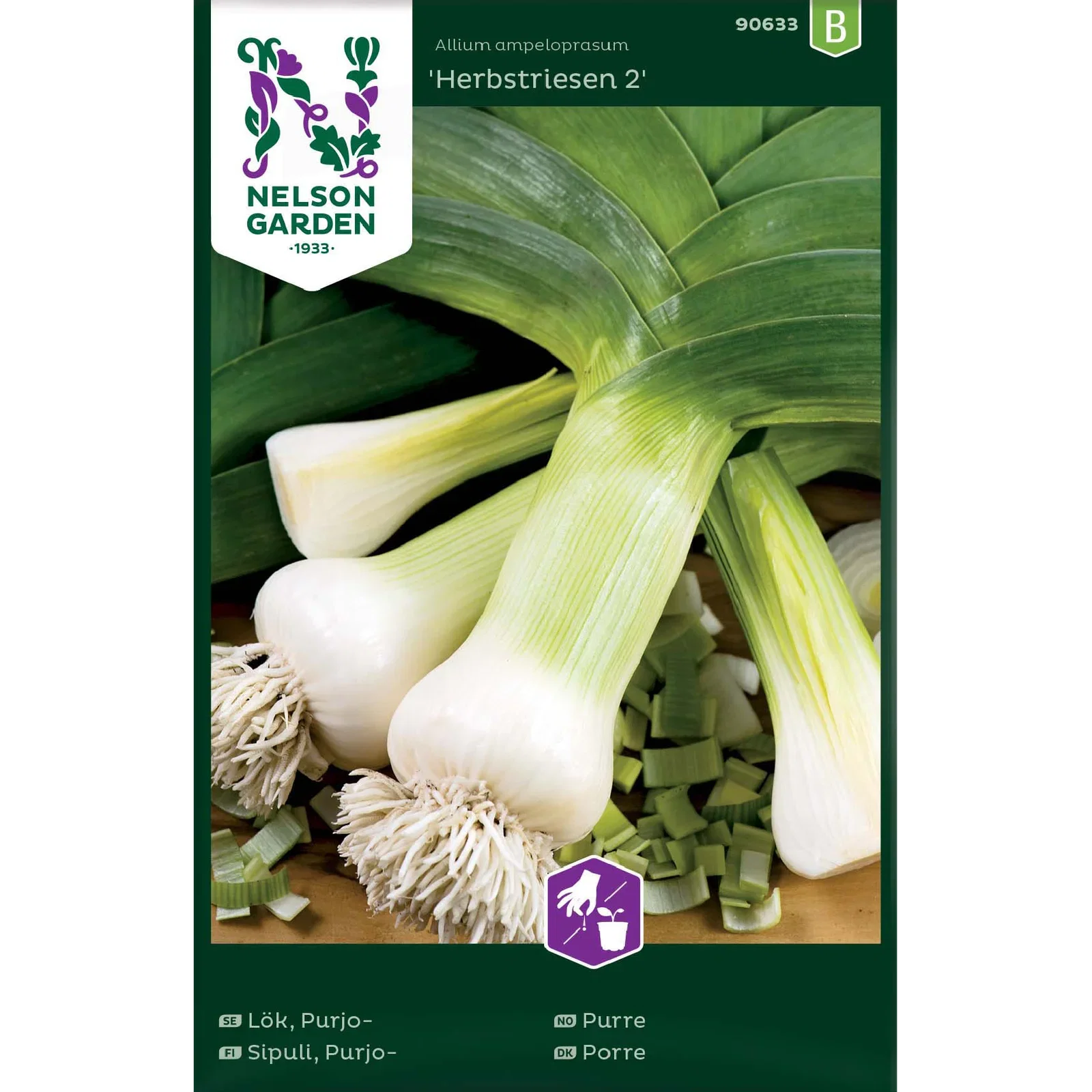Allium ampeloprasum  'Herbstriesen 2' Purre 'Herbstriesen 2'