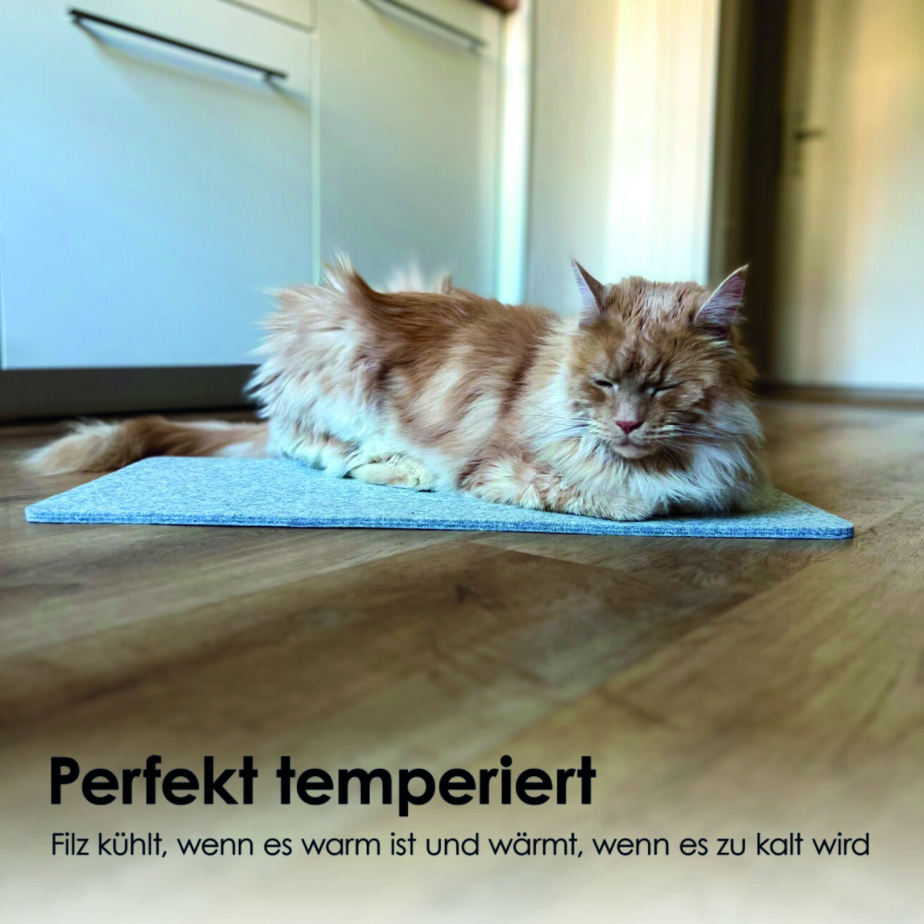 LucyBalu FELTY Katzen Fensterbrettauflage hellgrau