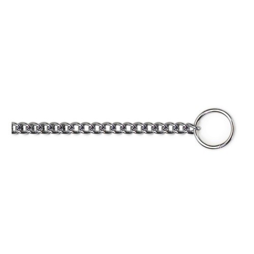 Coleira para cães Ancol Fine Chain, cor metálica