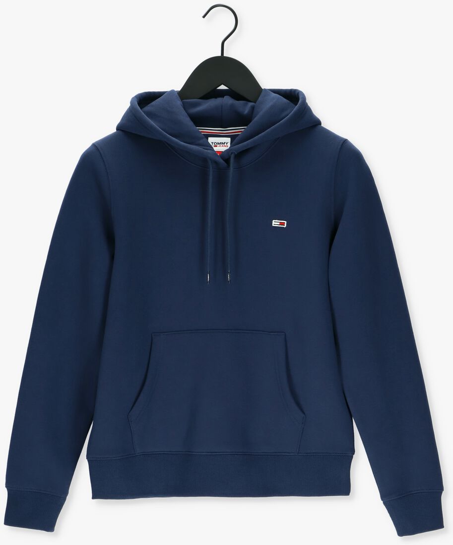 TOMMY JEANS blauwe tommy jeans sweater tjw regular fleece hoodie