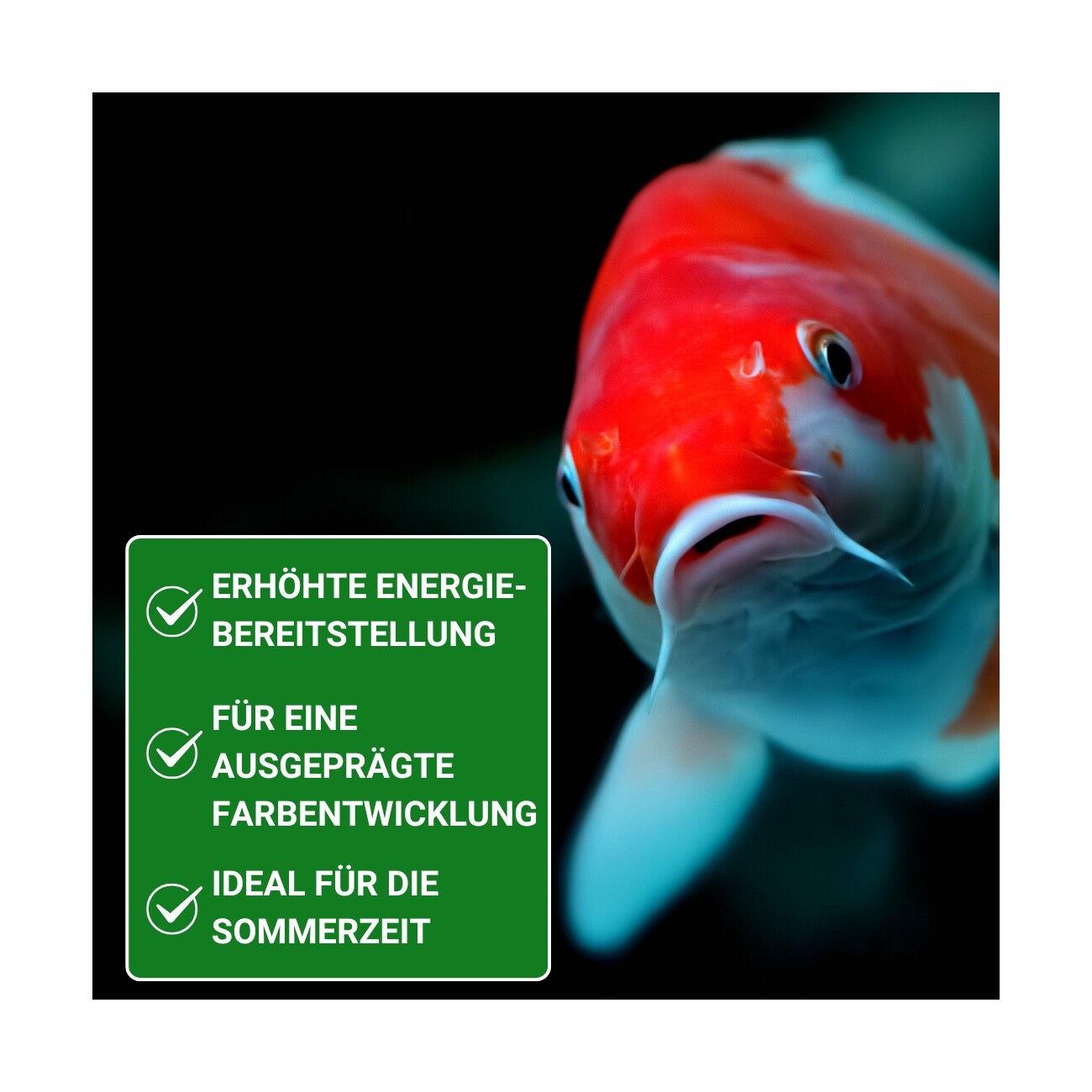 KENKOU Nr.1 Energy & Color 5mm 5 kg