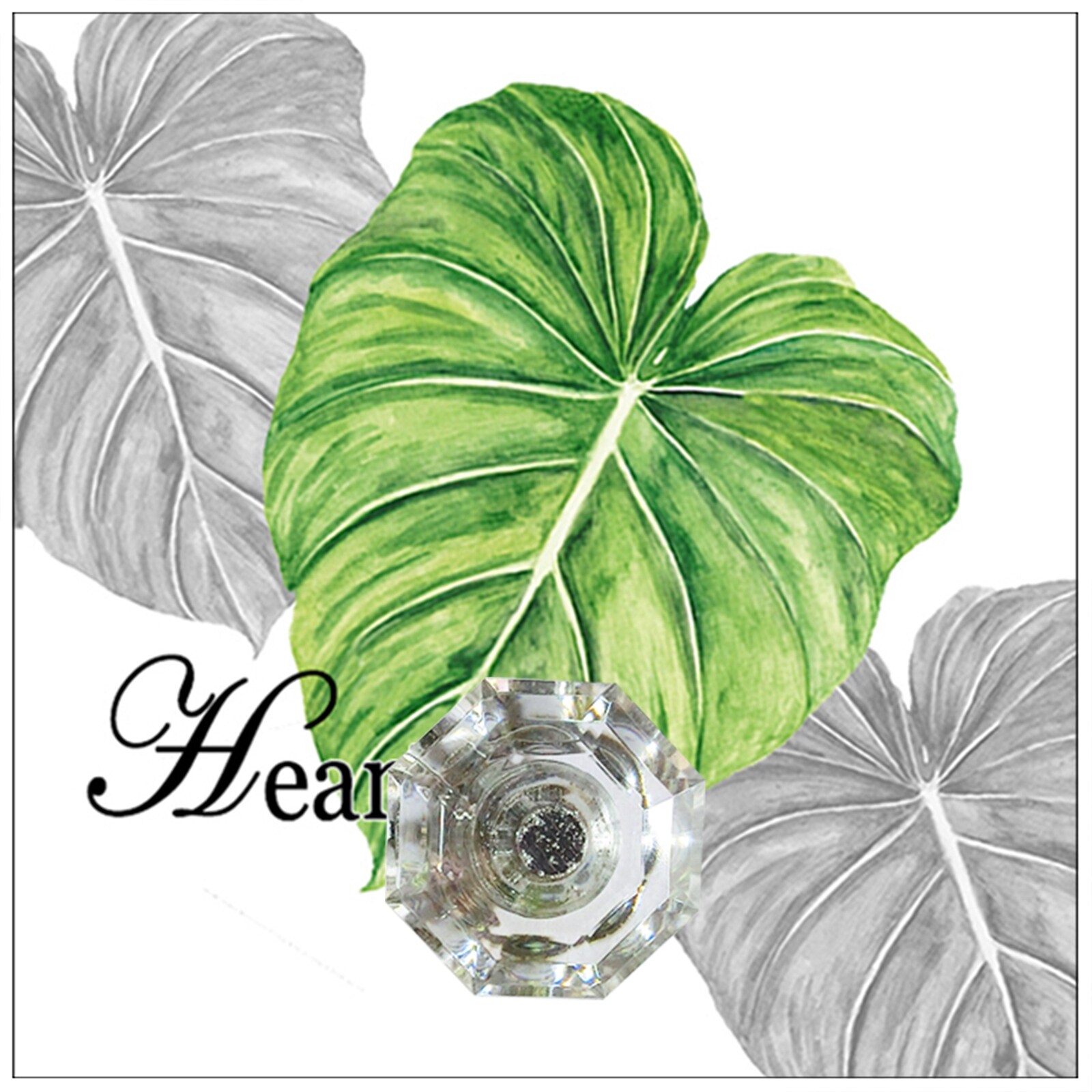 HTI-Line Wandhaken Leaf