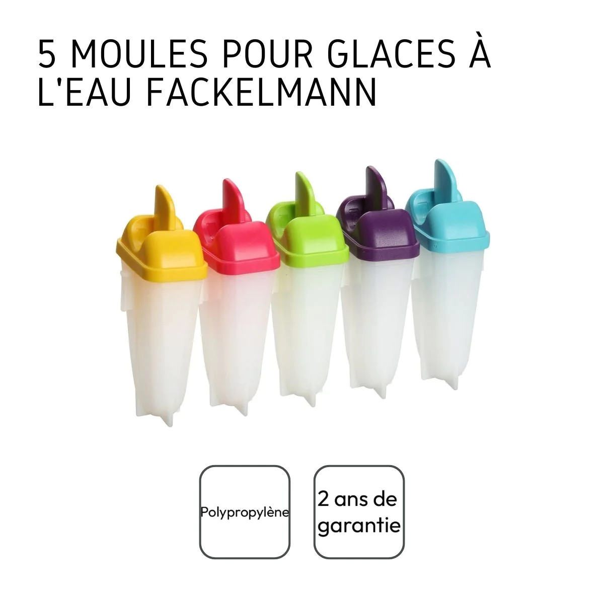Lot de 5 moules pour glaces à l'eau maison Fackelmann Fackelmann