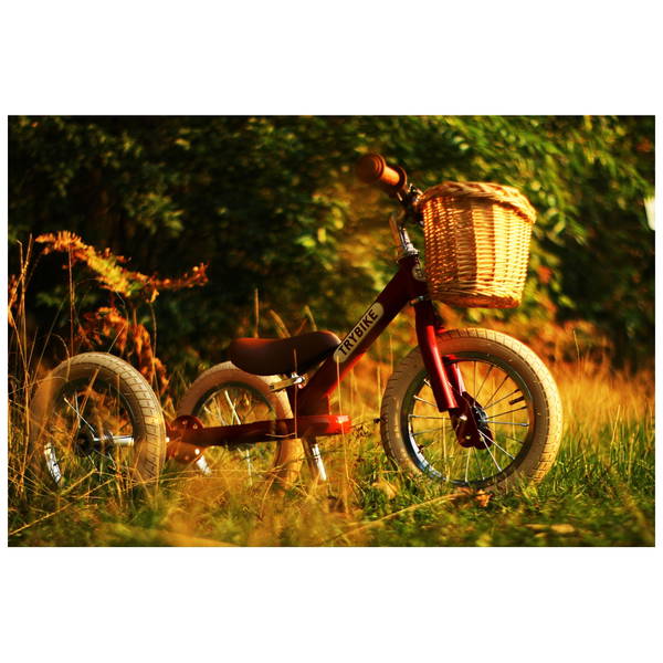 TrybikeTrybike   Stosserkorb für Steel