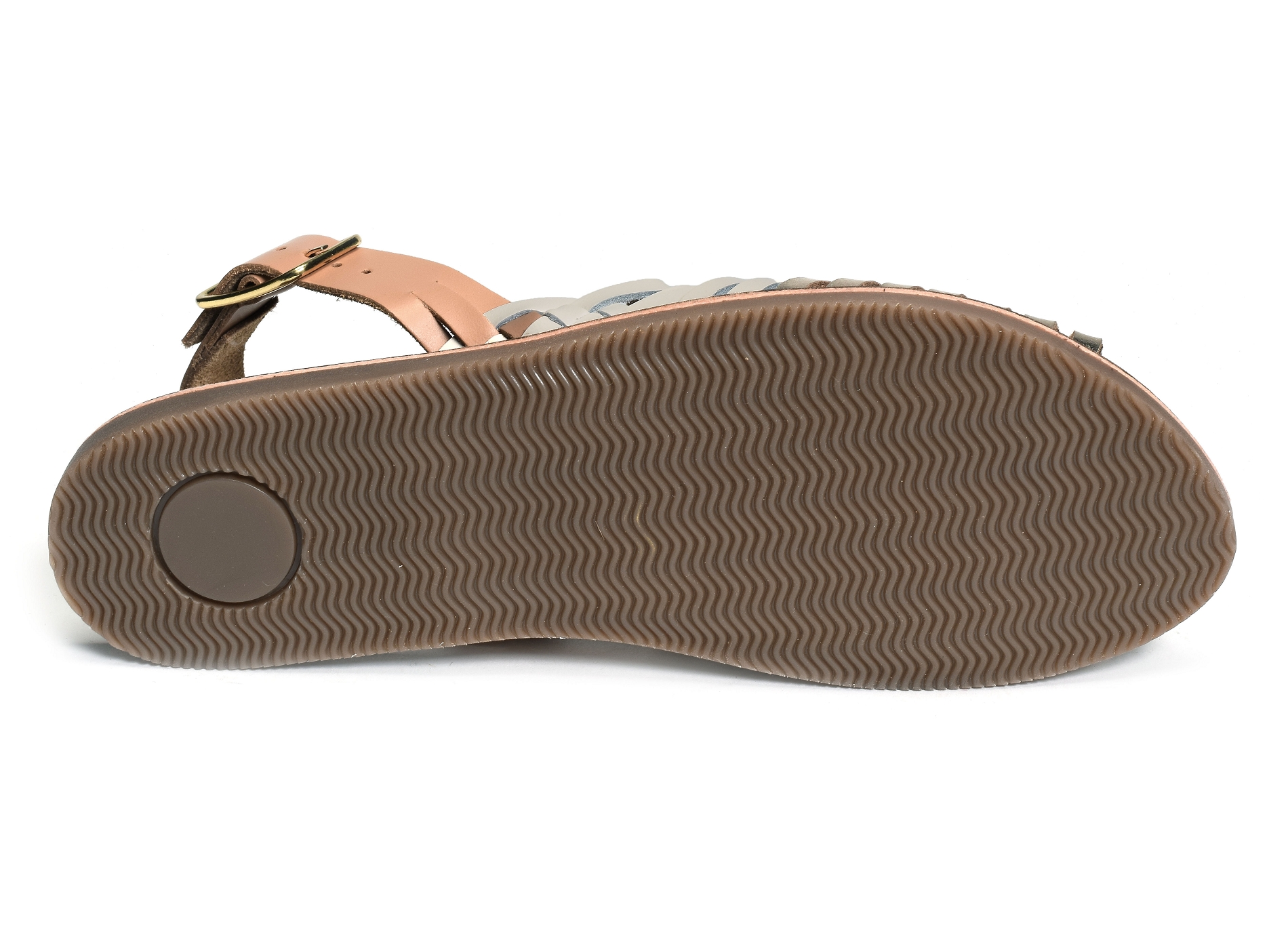 Ansb513 camel or