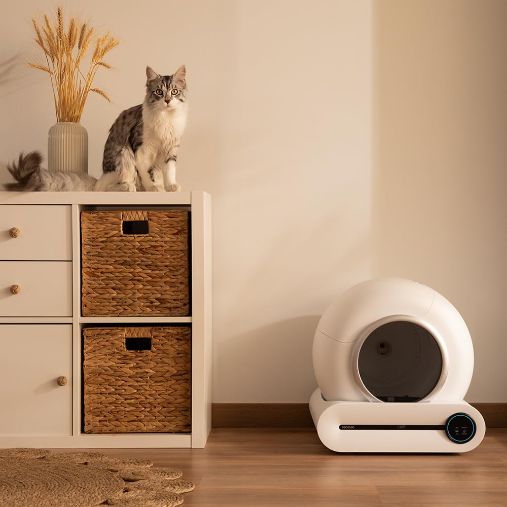 Cecotec Bac à Litière Autonettoyant pour Chats Pumba 8500 CleanKitty Smart. Triple Système de Désodorisation, Contrôle Via WiFi et Écran, Silencieux e